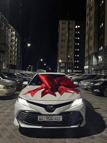 Организация мероприятий: Организация мероприятий | Гелевые шары, Ведущий, тамада, Аниматоры — 28