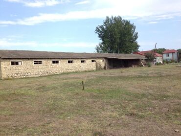 Bağ evlərinin satışı: Xudat, 80 kv. m, 8 otaq -da lalafo.az — 15 Bağ evlərinin satışı: Xudat, 80 kv. m, 8 otaq — 15