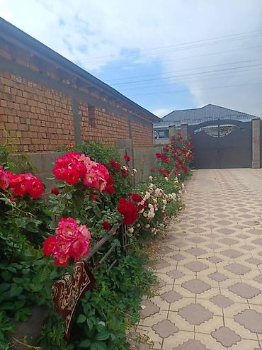 Продажа домов: Дом, 208 м², 8 комнат, Собственник, Евроремонт — 20