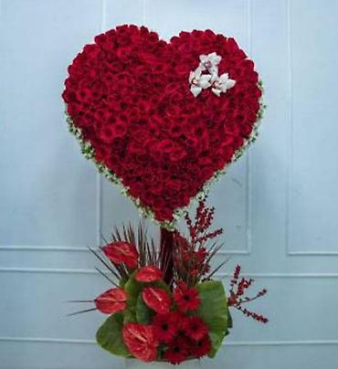 101 gul: 101 Roza🌹120₼ 60 sant - Qırmızı qızılgül buketi: sıx və həcimli — 9
