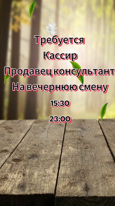 требуется продавец кассир: Сатуучу консультант. ТЭЦ