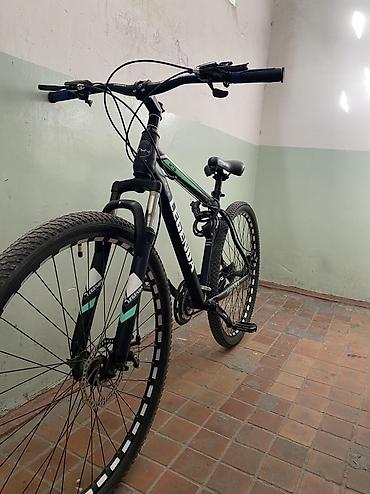 maxxis 29: Горный велосипед, Алюминий, Новый — 1