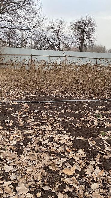 Продажа коттеджей и домов: Чон багы менен үй сатылат 25 сотых.Дареги: Кара Балта, Федоровка — 4