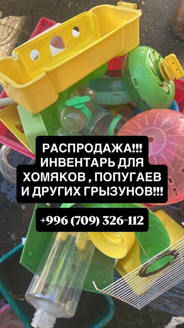 зерно ячмень: Башка