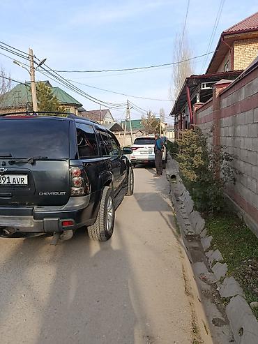 Chevrolet: Chevrolet Trailblazer: 2006 г., Внедорожник — 14