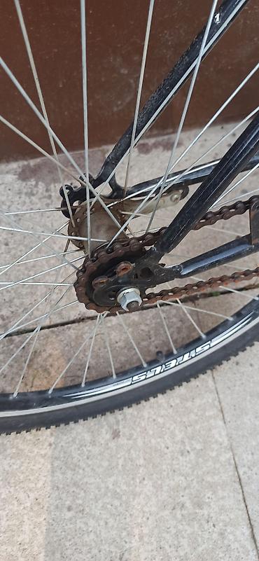 elektron velo: Velosiped – şəhər və kənd yolları üçün sadə və rahat model - Çərçivə — 3