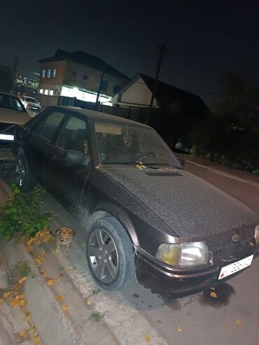 машина форостер: Ford Escort: 1987 г., 1.5 л, Механика, Бензин, Хэтчбэк