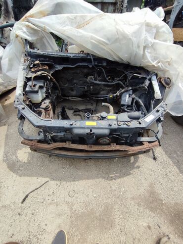 Ноускат, хафкат: Б/у, Оригинал — 12