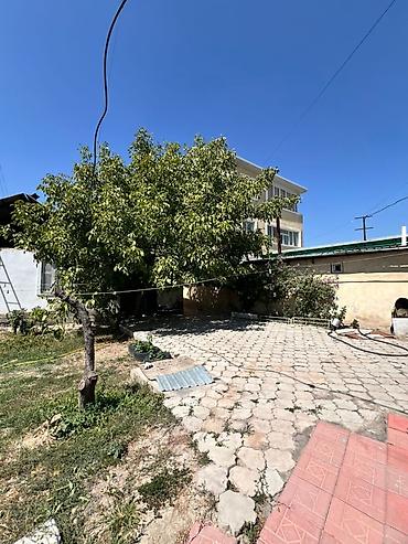 8 соток, Курулуш, Кызыл китеп