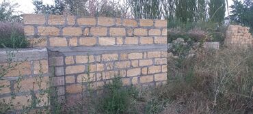 Torpaq sahələrinin satışı: Kənd təsərrüfatı — 31