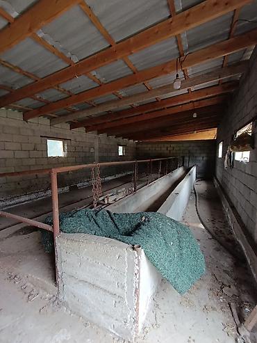 Продажа коттеджей и домов: 2 дома | 50 соток | 60 КВ.м | 65 кв.м В с. Петровка вдоль трассы — 12