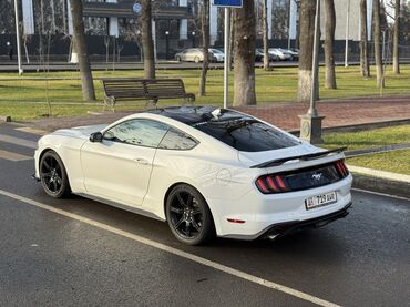Ford: Ford Mustang: 2020 г., 2.3 л, Автомат, Бензин, Купе — 4