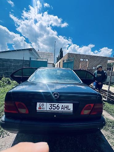 химия авто: Mercedes-Benz E-Class: 1995 г., 2.3 л, Автомат, Газ, Седан — 5
