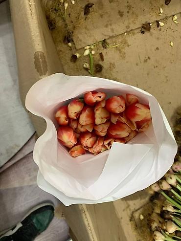 Букеты из живых цветов: В оптомв розницу — 9