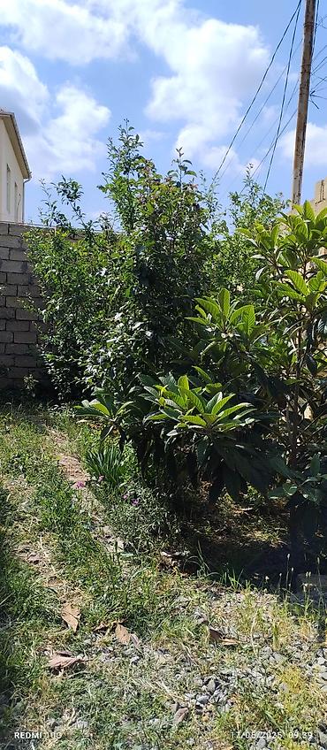 rahat emlak: - İki mərtəbəli daş tikili ev - Fasadda kəsme daş (kubik) ilə hörgü — 3