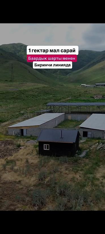 Farm КРС, 1000 соток, Отопление