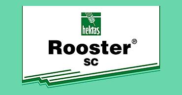 Все для дома и сада: Hektaş Rooster SC – selektiv herbisid - Məhsul tipi: SC formulasiya — 1