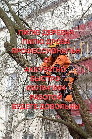 резчики по дереву: Услуги по спилу деревьев и заготовке дров. - Профессиональный — 1