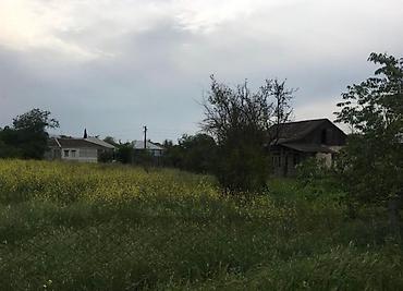 kiraye ev zabrat 1: 14 sot, Mülkiyyətçi, Kupça (Çıxarış) — 3