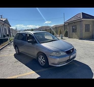 одиссей битый: Honda Odyssey: 2003 г., Автомат, Универсал — 1