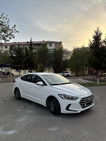 ford focus rs: Hyundai Avante: 1.6 l | 2016 il Sedan — 3