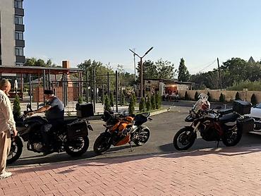 ford fox: Naked Kawasaki, 800 куб. см, Бензин, Взрослый, Новый — 3
