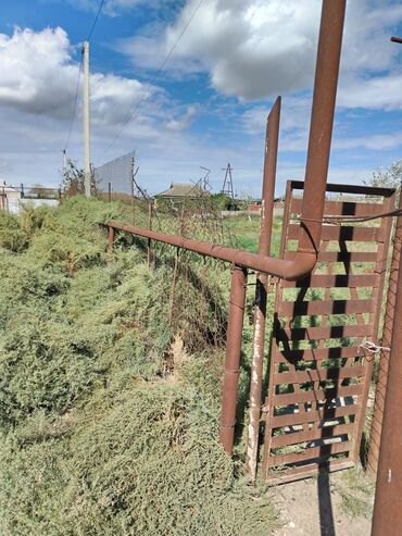 Torpaq sahələrinin satışı: 30 sot, Kənd təsərrüfatı, Mülkiyyətçi, Bələdiyyə — 9