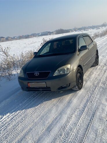 Toyota: Toyota Corolla: 2003 г., 1.8 л, Механика, Бензин, Хэтчбэк