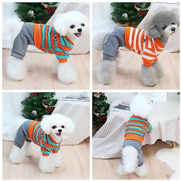 Зоотовары: ПРОДАЮ СУПЕР ПРОЧНЫЙ МЯЧЬ ДЛЯ СОБАК,А ТАК ЖЕ — 28