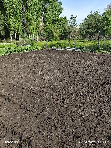 Другие услуги: Спашка огорода С дизельный мотоблок и бензиновый Цена договорная — 8