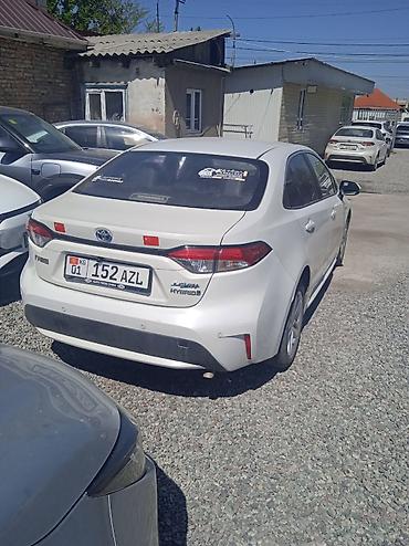corola: Toyota Corolla: 2020 г., 1.8 л, Автомат, Гибрид, Седан — 2