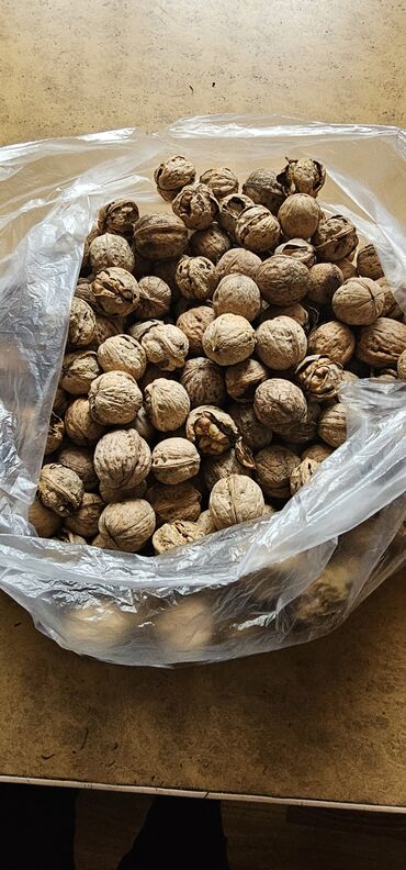 продам орехи: Продам или меняю 2 кг грецких орехов урожай этого года сухие, легко