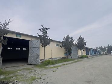 Soyuducu avadanlığı: Sənaye tipli soyuducu anbar/kamera - Genişlik və hündürlüyü iri — 6