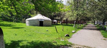 лагерь для детей: Отдых горы Речка Березовая роща Парк Алма бак Зеленная зона Зона