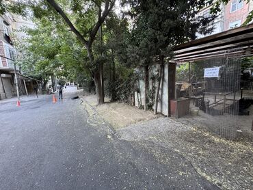 Digər kommersiya daşınmaz əmlakı: 7-ci mikrorayonda,Azadlıq metrosunun yanı,Faxralı xəngəl evinin -da lalafo.az — 10 Digər kommersiya daşınmaz əmlakı: 7-ci mikrorayonda,Azadlıq metrosunun yanı,Faxralı xəngəl evinin — 10