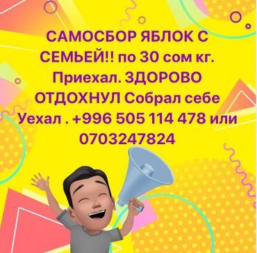 869 объявлений: Каждый год к нам приезжают и самостоятельно собирают для себя яблоки