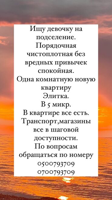 аренда 1 ком квартира: 1 бөлмө, Менчик ээси, Чогуу жашоо менен, Жарым -жартылай эмереги бар