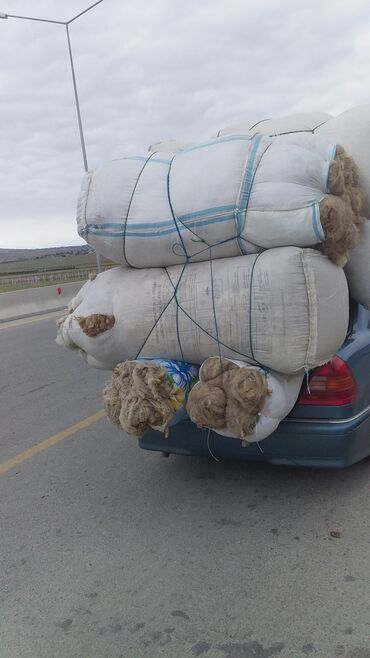 Yun: QOYUN YUNU SATILIR Şamaxı yunu — 3