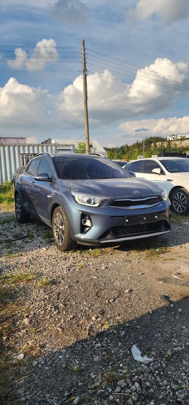 мерседес 124 афтамат: Kia Stonic: 2018 г., 1.6 л, Типтроник, Дизель, Хэтчбэк