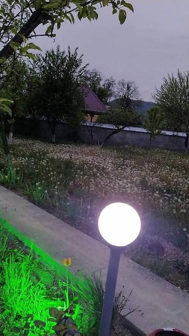 baki kiraye: 200 kv. m, 4 otaqlı, Artezian quyusu, Qaz, İşıq — 9