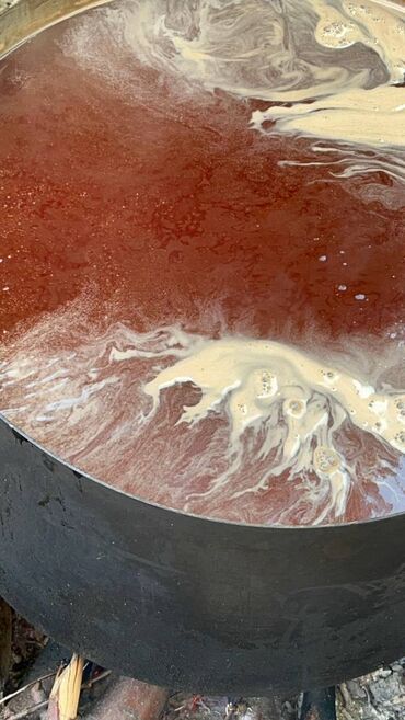 Digər tibbi məhsullar: Şam qozası və Keçibuynuzu bitkisindən hazırlanmış doşablar satılır — 5