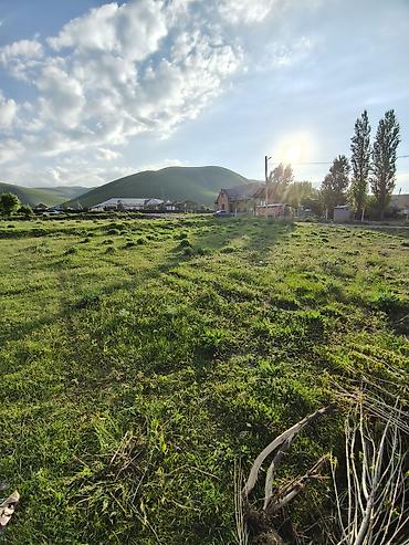 Продажа участков: 5 соток, Красная книга — 8