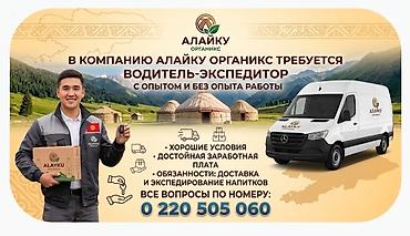 работа водителем се: Требуется Водитель-экспедитор, Транспорт компании, Без опыта, Официальное трудоустройство — 1