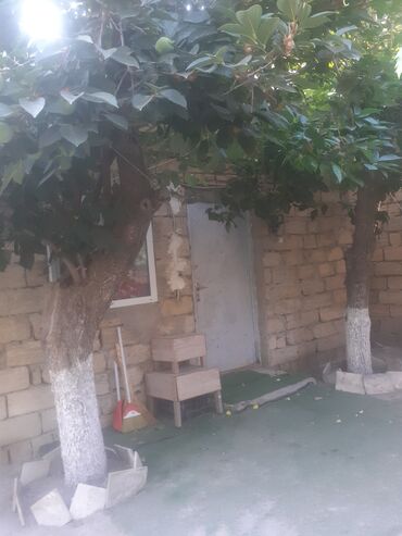 ucuz kiraye evler 2022 sumqayit: 25 kv. m, 1 otaqlı, İnternet, Qaz, İşıq