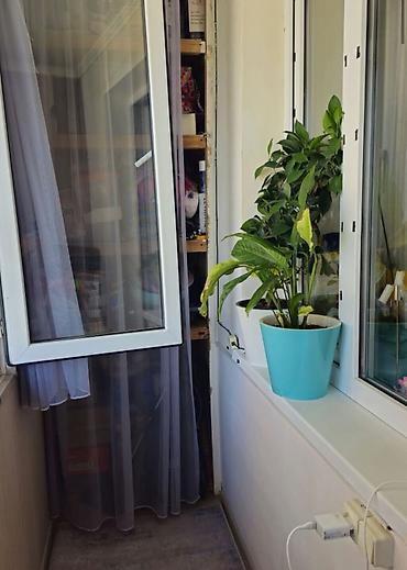 кафе: 2 комнаты, 44 м², Ата-Тюрк парк 104 серия, 4 этаж, Евроремонт — 10