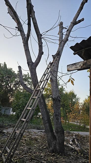Лестницы и комплектующие на заказ: Деревянная лестница Наружные, Форма лестницы: Прямая — 1