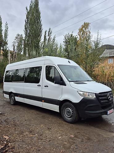 ищу спринтер: Mercedes-Benz Спринтер: 2019 г., 2.2 л, Автомат, Дизель, Бус — 7