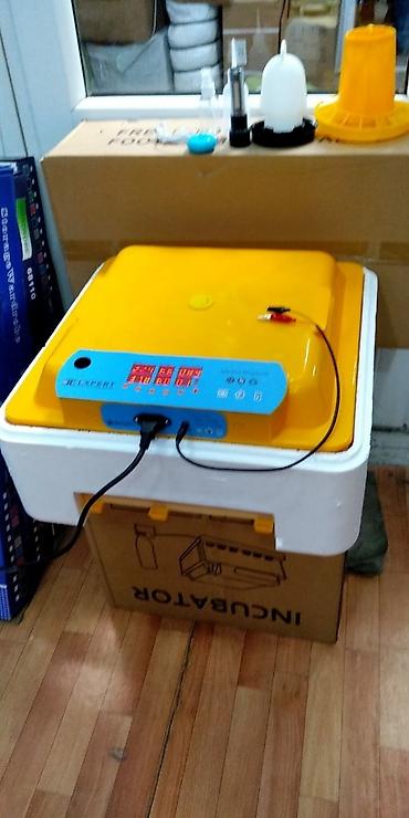 Kənd təssərüfatı avadanlığı: Inkubator inkubatorlarin birinci əl satişi mağazamizda olan inkubator — 3