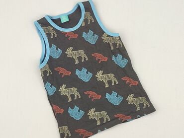 lidl podkoszulki dzieciece: T-shirt, Little kids, 3-4 years, 98-104 cm, condition - Perfect