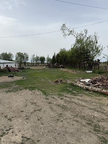 орошаемое земля: Продаётся участок с хоз двором в городе Каракол, улица Масанчы, свет — 2
